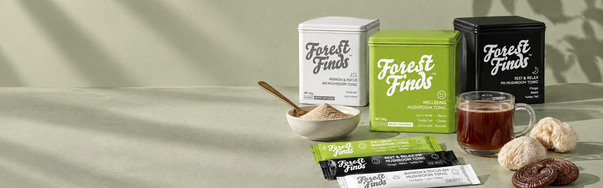 NoWhey Naturals mushroom tonic tins with lion's mane and reishi